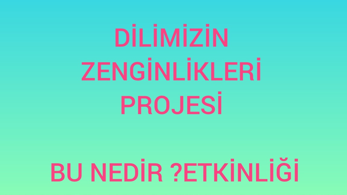 DİLİMİZİN ZENGİNLİKLERİ