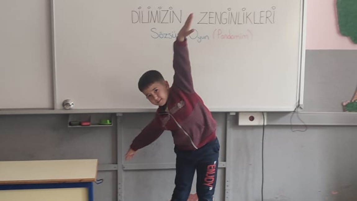 DİLİMİZİN ZENGİNLİKLERİ